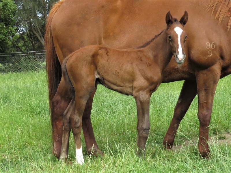 067 Metro Park x Puissance De Lune bf 10-11 3d